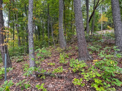 0 Lower Twin Rd, South Salem, OH 45681 - photo 4