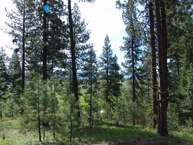 Nicely Wooded