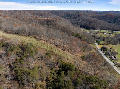 4674 Parkersburg Rd, Reedy, WV 25270 - photo 5