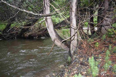 00 Chamberlain Hill, Albany, VT 05820 - photo 7