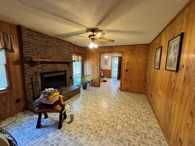 2172 Tails Creek Rd, Ellijay, GA 30540 - photo 4