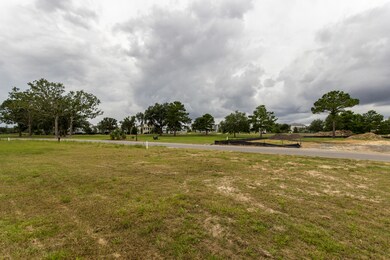 ck1706202-1009
