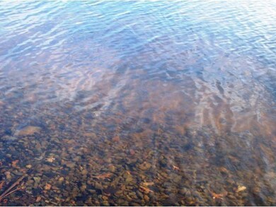 10575 Hwy F, Danbury, WI 54830 - photo 5