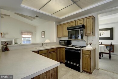 7011 Green Spring Ln, Alexandria, VA 22306 - photo 7