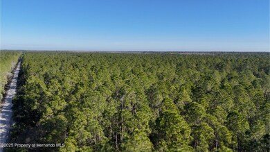 0 Old Train Rd unit 2251339, New Smyrna Beach, FL 32168 - photo 2
