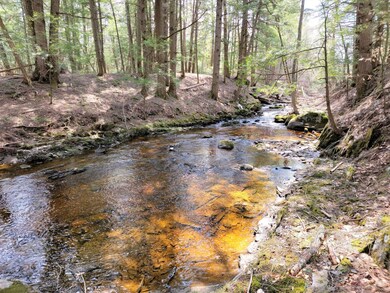 Bacon Brook