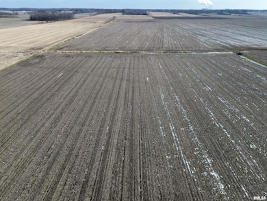 000 County Road 700 E, Mount Carmel, IL 62863 - photo 4