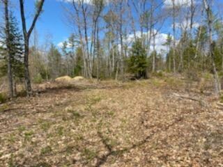 0 That Way Lot #9 unit 1541717, West Bath, ME 04530 - photo 2