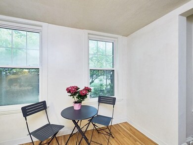 100 Lanark Rd unit 3, Brighton, MA 02135 - photo 5