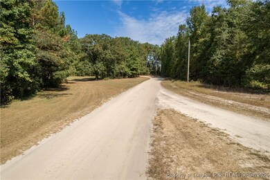 5000 Arabia Rd, Lumber Bridge, NC 28357 - photo 2