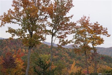 0 Pottery Terrace Trail unit NCM521511, Flat Rock, NC 28731 - photo 2