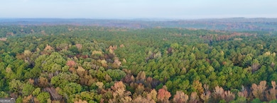 TRACT 2 Dennis Creek Rd, Talbotton, GA 31827 - photo 2