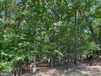 0 Timber Ridge Rd unit WVMO117112, Berkeley Springs, WV 25411 - photo 3