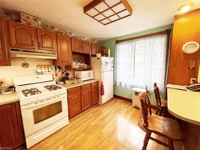 103 W Jefferson St, Jefferson, OH 44047 - photo 5