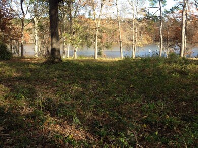 lot 17 Hickory Landing rd4