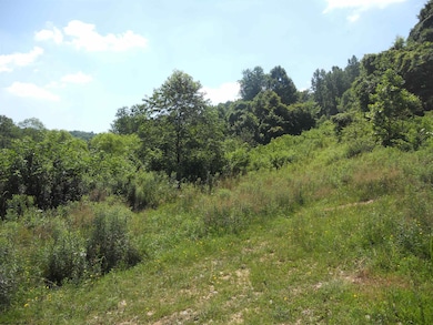 595 Wades Run and Bowlby Rd, Morgantown, WV 26501 - photo 6