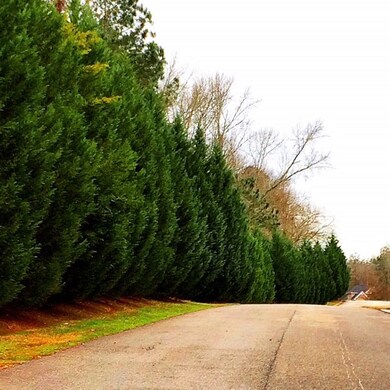 4313 Southern Pines Dr, Evans, GA 30809 - photo 2