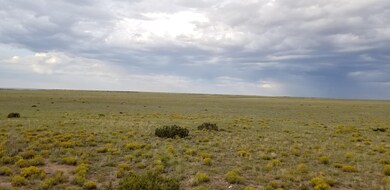 20190829_174433