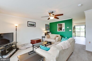 1149 Stallion St, Ranson, WV 25438 - photo 6