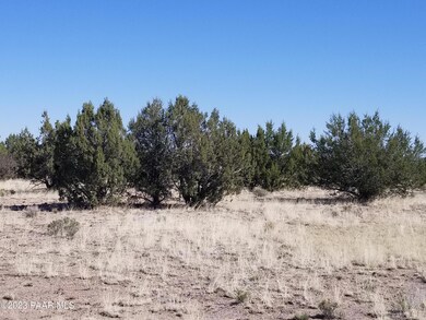 252c Juniperwood Ranch, Ash Fork, AZ 86320 - photo 3