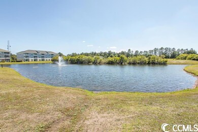 316 Kiskadee Loop unit 9D, Conway, SC 29526 - photo 3