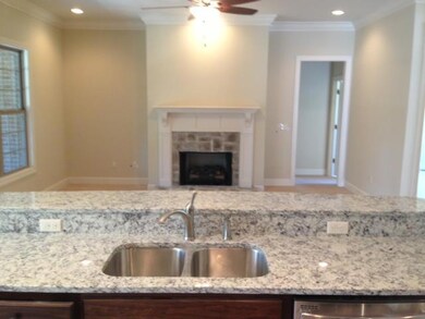 The cook in this kitchen will not be left out of family interaction as evidenced by this view of the great room from the kitchen. 