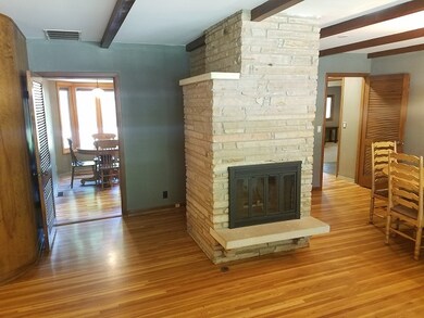 Wood Burning Gas Stater Fireplace