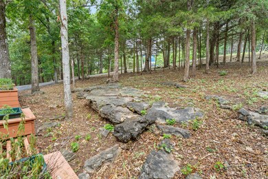 214 / 196 Hoot Owl Point, Kimberling City, MO 65686 - photo 5