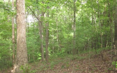 Additional View