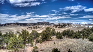 607 Shenandoah Path, Hartsel, CO 80449 - photo 2