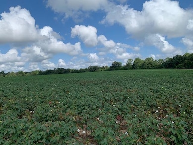 0 N Gordon St, Ashburn, GA 31714 - photo 6