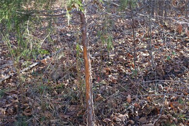 0 Big Spring Rd unit 1235038, Winslow, AR 72959 - photo 7