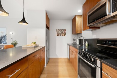 Audubon Park unit 206, Boston, MA 02215 - photo 6