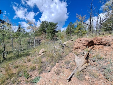 6452 Remington Rd, Como, CO 80456 - photo 2