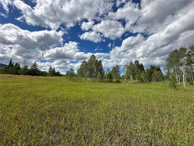 Mature trees.