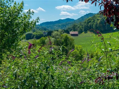 49 Pinnacle Rd, Burnsville, NC 28714 - photo 2