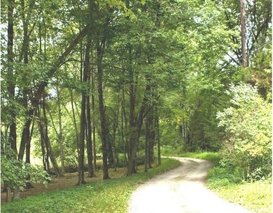 315 North St, Medfield, MA 02052 - photo 2