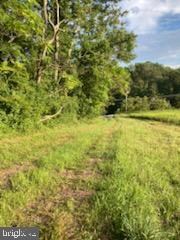 0 Kurtz Mill Rd unit PABK2003884, Mohnton, PA 19540 - photo 2