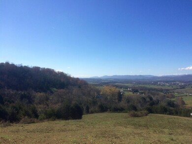 0 Mountain View Rd, Lexington, VA 24450 - photo 5