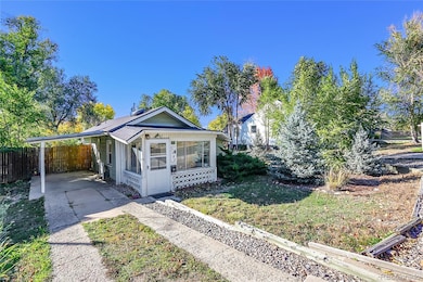 Variety of trees for year-round greenery.