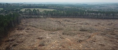 0 Highway 118 unit 25-406, Jasper, AL 35501 - photo 6