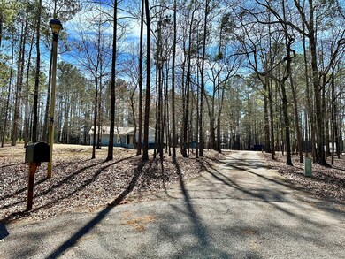 Driveway to Home