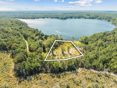 Lot 29 Spring Lake Rd, Defuniak Springs, FL 32433 - photo 4