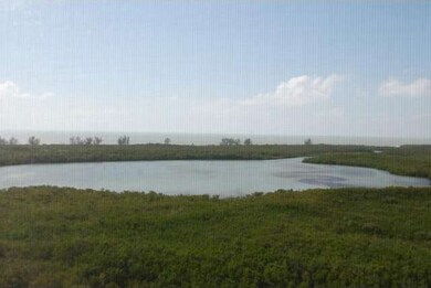 View of Turkey Bay and the Gulf
