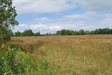 ON Cth P unit 37.90 Ac., Argonne, WI 54511 - photo 3