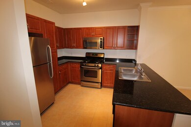 12909 Centre Park Cir unit 402, Oak Hill, VA 20171 - photo 4