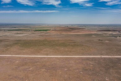 SW4SE4 S Langley Rd, Estancia, NM 87016 - photo 5