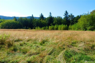 0 Reese Hill Rd unit 1022184, Sumas, WA 98295 - photo 6