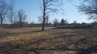 486 Main St, Hatfield, MA 01038 - photo 5