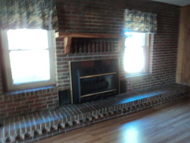 Den Fireplace
